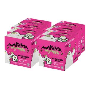 makro-snack-2581 ใหม่! HIMALAYA หิมาลายา ลูกอมรสมินท์ ผสมเกลือหิมาลายา วาจอมบา แอคทิวูสต์ แพ็ค 6 กล่อง