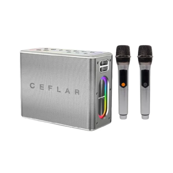 audio-component-0283 CEFLAR ลําโพงบลูทูธพกพา VOX PRO V60 พร้อมไมโครโฟนไร้สายคู่ แบตเตอรี่ 12000mAh เทา