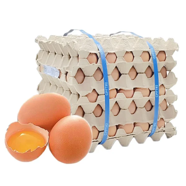 eggs-0003 เอโร่ ไข่ไก่ เบอร์ 2 ไม่มีฝา 30 ฟอง x 5