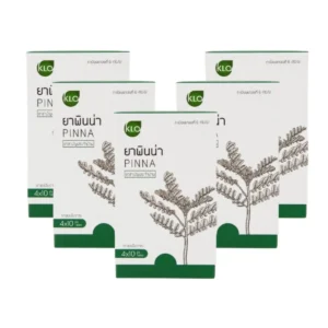 health-care-0642 (แพ็ค 5) Khaolaor ขาวละออ พินน่า ลูกใต้ใบชนิดเม็ด ยาสามัญประจําบ้าน 40 เม็ด/กล่อง