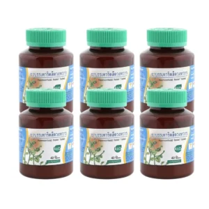 health-care-0809 (แพ็ค 6) Khaolaor ขาวละออ ยาบรรเทาอาการริดสีดวงทวาร ยาสามัญประจําบ้าน 42 เม็ด/ขวด