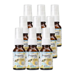 health-care-1004 PROPOLIZ MOUTH SPRAY - โพรโพลิซ เม้าท์ สเปรย์ สูตรดั้งเดิม ขนาด 15 ml (3 แพค 9 ขวด) GMS0031JFA