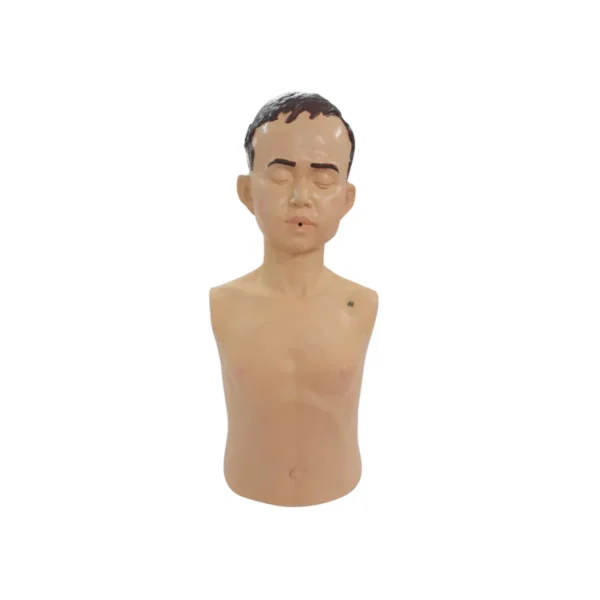 health-care-1390 หุ่นอารีย์ 3.0 หุ่น CPR หุ่นเด็ก ฝึกการช่วยชีวิตขั้นพื้นฐาน หุ่นCPR ฝึกช่วยชีวิต แบบครึ่งตัว หุ่นฝึกปฏิบัติช่วยชีวิต