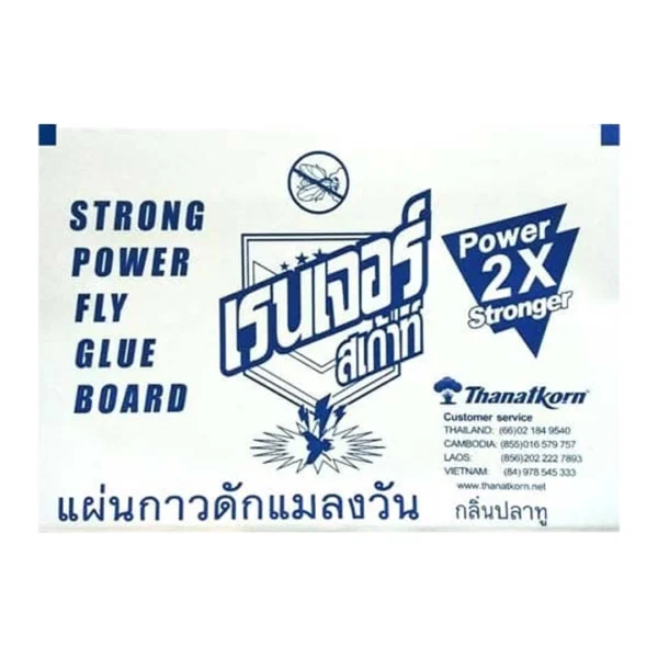 เรนเจอร์ แผ่นกาวดักแมลงวัน x 50