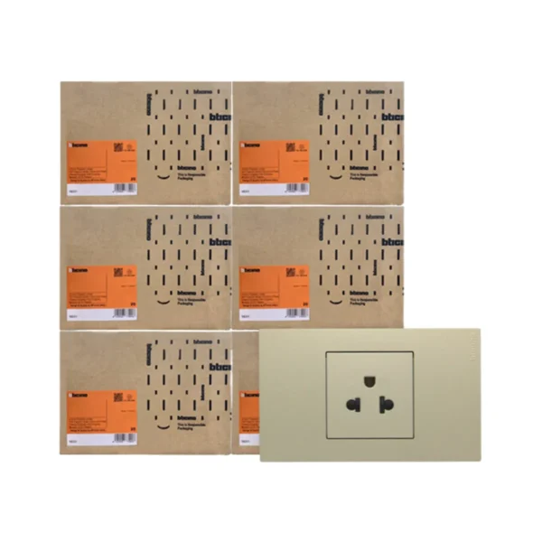 ยกลัง | BTicno ชุดเต้ารับเดี่ยว 3 ขา Socket 2P+E 16A 250V สีไทเทเนียม รุ่น Nexy
