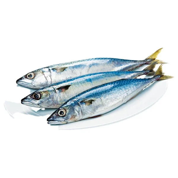 seafood-0024 ปลาซาบะญี่ปุ่นแช่แข็ง ไซส์ L 1 กก.