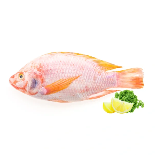 seafood-0026 ปลาทับทิม 1 ตัว (ประมาณ700-900 ก./ตัว)