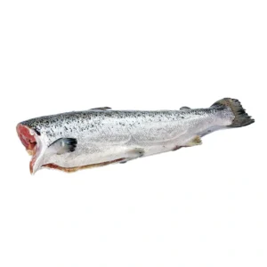 seafood-0032 แซลมอนโคโฮตัดหัวแช่แข็ง (2.7กก.ขึ้นไป/ตัว) 1 ชิ้น