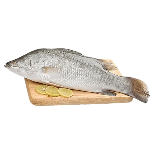 seafood-0115 ปลากะพงขาวใหญ่ ควักไส้ ขอดเกล็ด 800 ก.-1 กก.