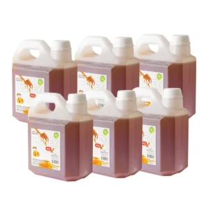 sweet-condiment-0520 ทีอีเอ น้ําผึ้งแท้ จากเกสรดอกไม้ป่า แบบแกลลอน (4 กิโลกรัม) x 6 แกลลอน
